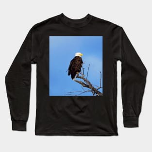 Bald Eagle Perched In a Tree In The Winter Long Sleeve T-Shirt